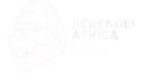 berengei safari logo