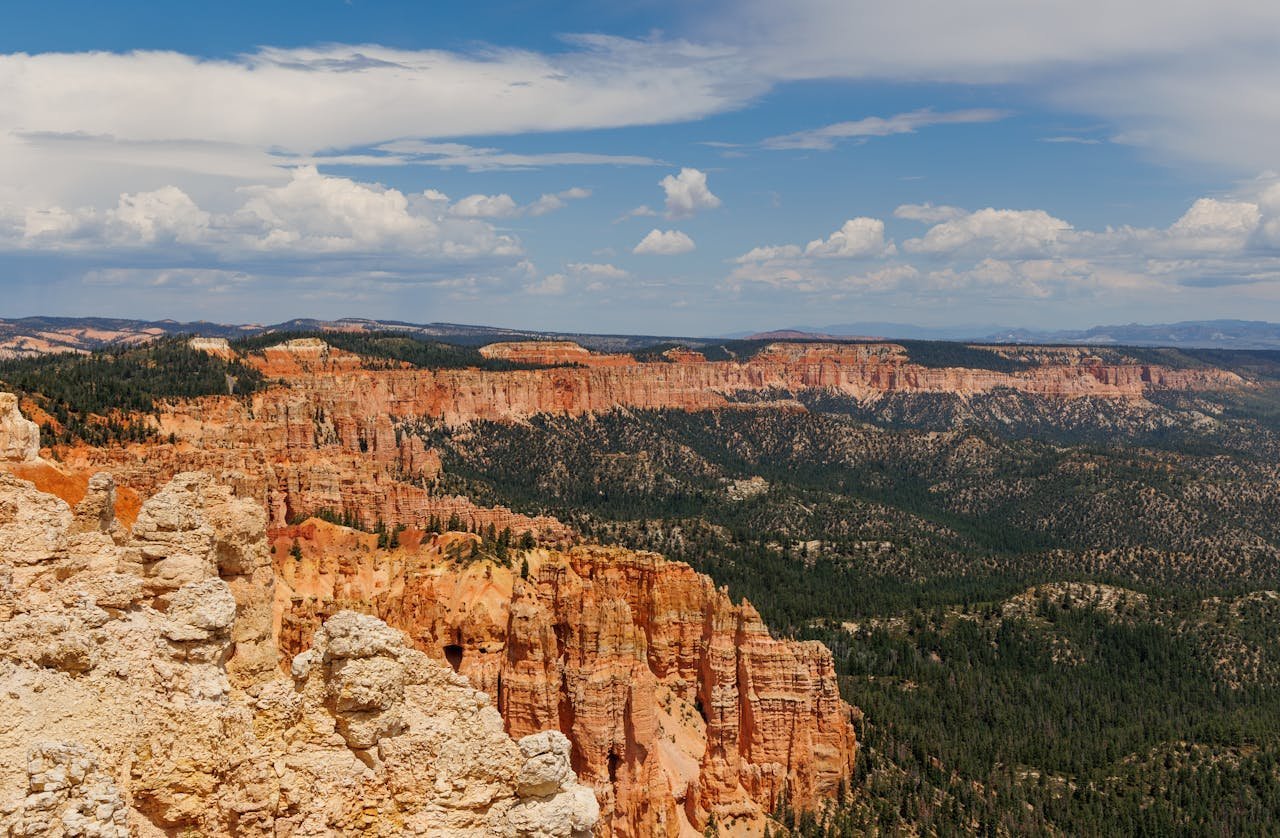 pexels photo 27523304.jpeg