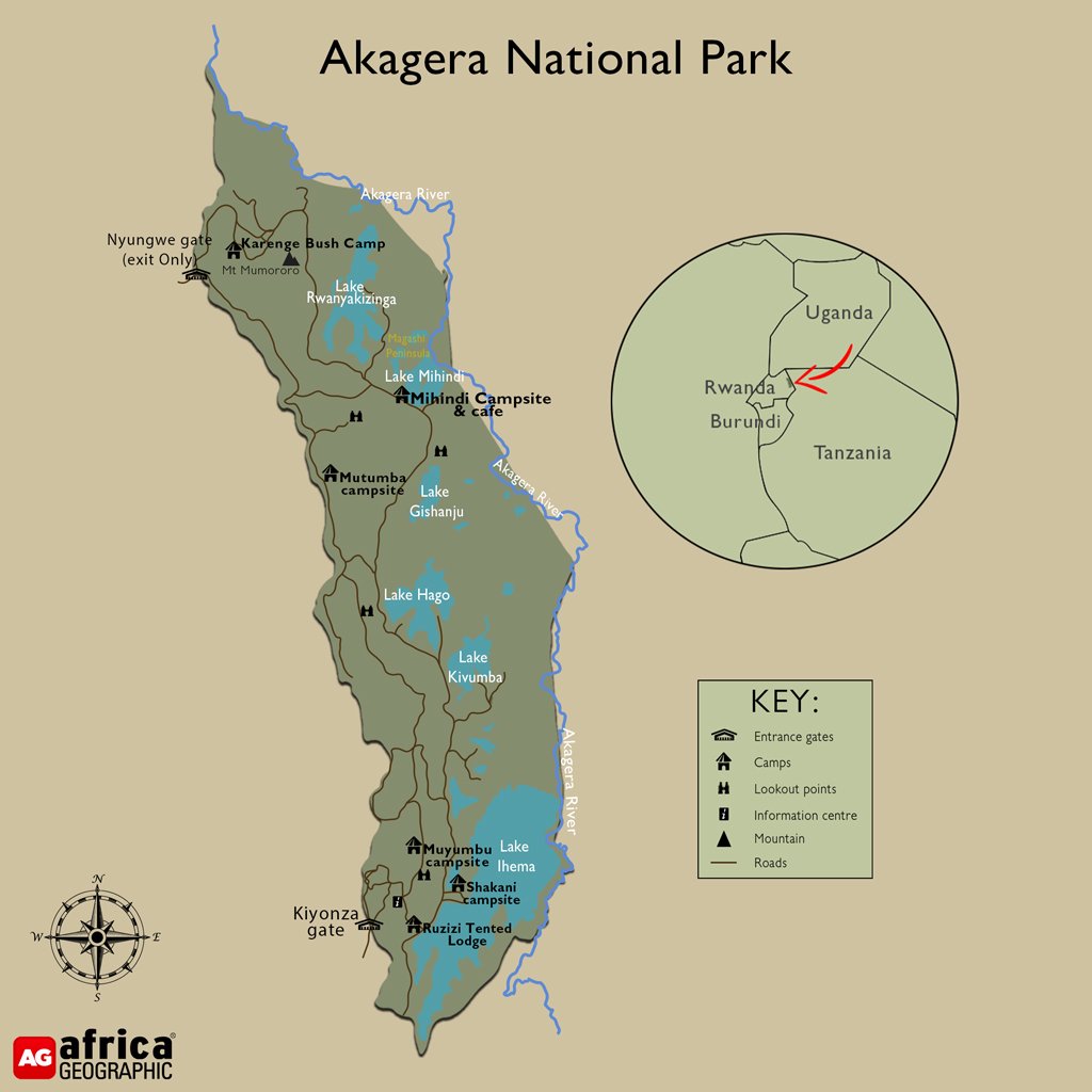 Explore Akagera National Park, Rwanda. Discover wildlife safaris, Big Five animals, best time to visit, and top safari experiences.