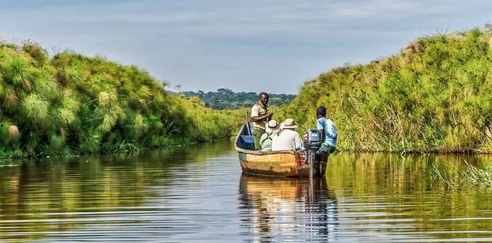 Mabamba Swamp, home of the shoebill