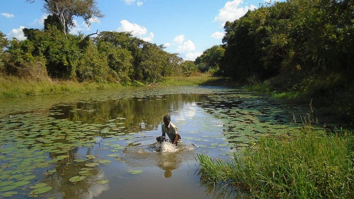 Mabamba Swamp