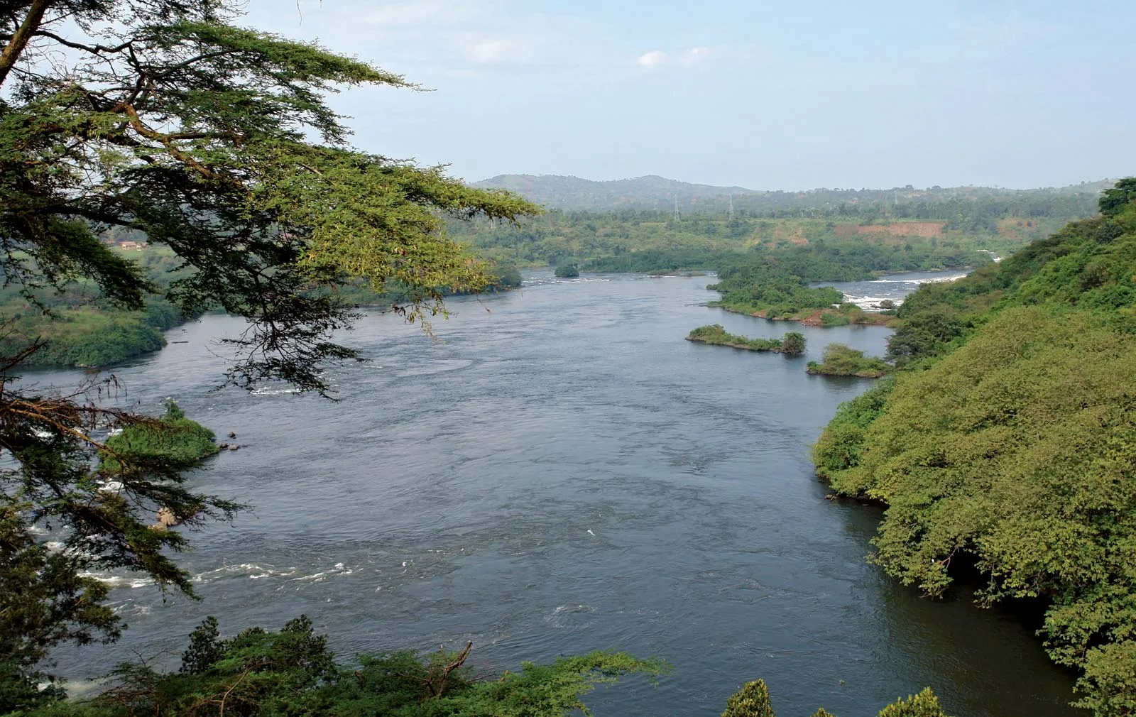 African Safari Uganda: The Unforgettable Wildlife Adventure.
