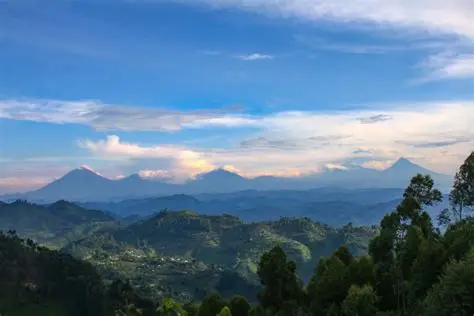 The Nkuringo Sector in Bwindi is situated in southwestern Uganda, forming part of the southern region of Bwindi Impenetrable National Park. It lies close to the border with Rwanda and the Democratic Republic of the Congo.