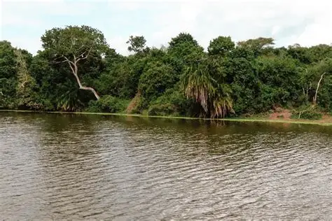 Lake Mburo