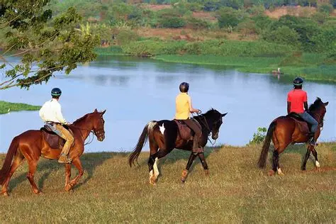 Top 5 Safari Experiences in Uganda