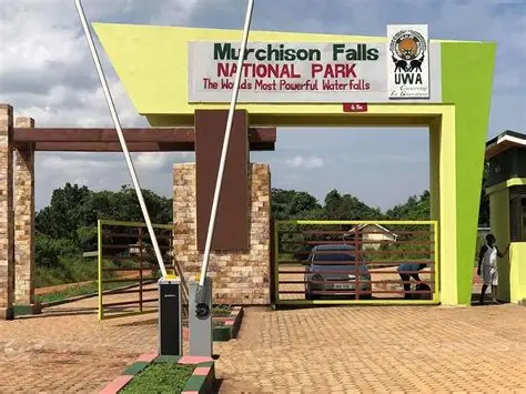 Murchison Falls National Park – Complete Safari Travel Guide