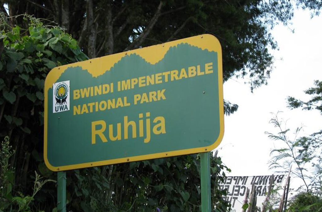 get to Ruhija Sector Bwindi