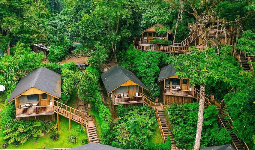 Rwanda safari booking guide