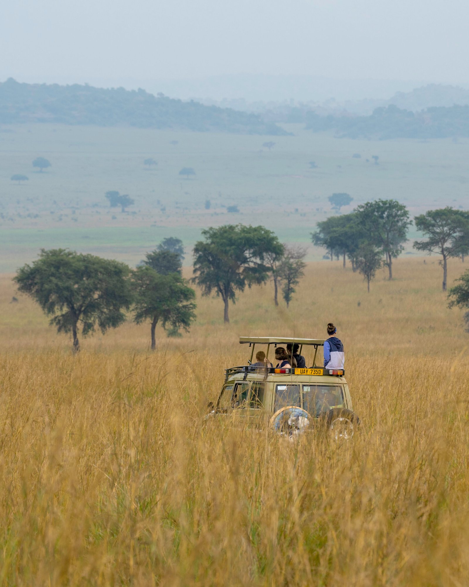 our profesional tour guides