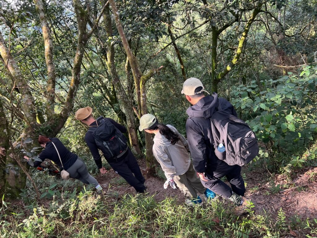 trekking in Bwindi Impenetrable 