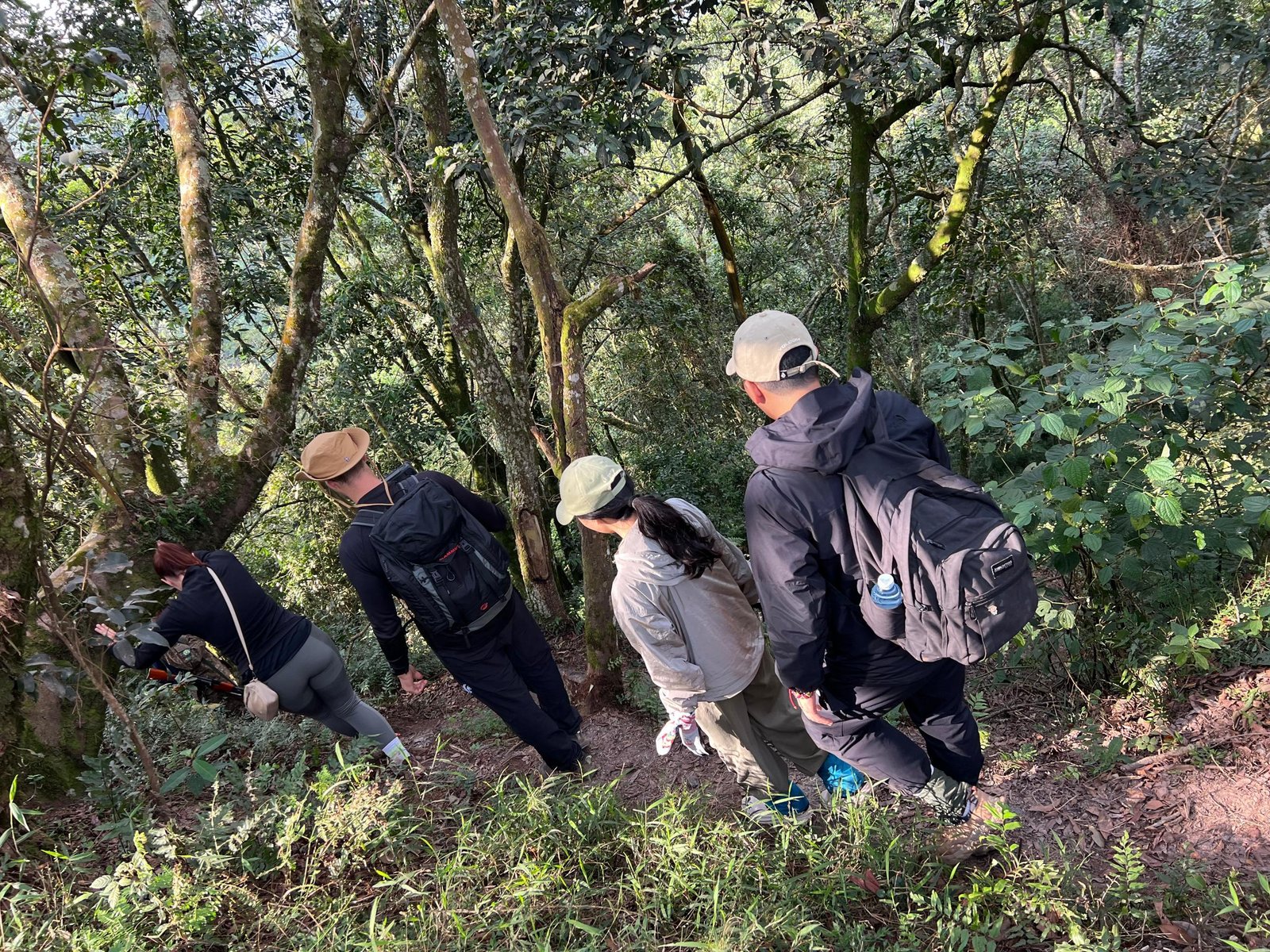 Why Group Safaris Are the Most Eco-Friendly