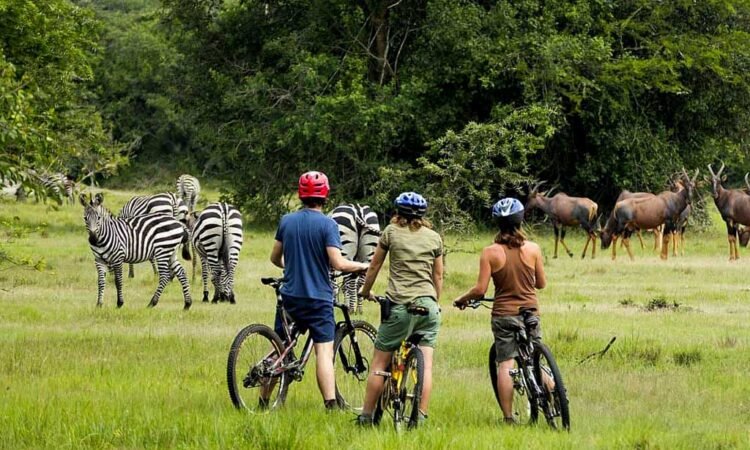 Lake Mburo National Park