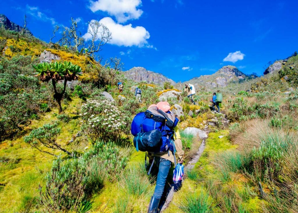 Traveler climbing Mount Renzori