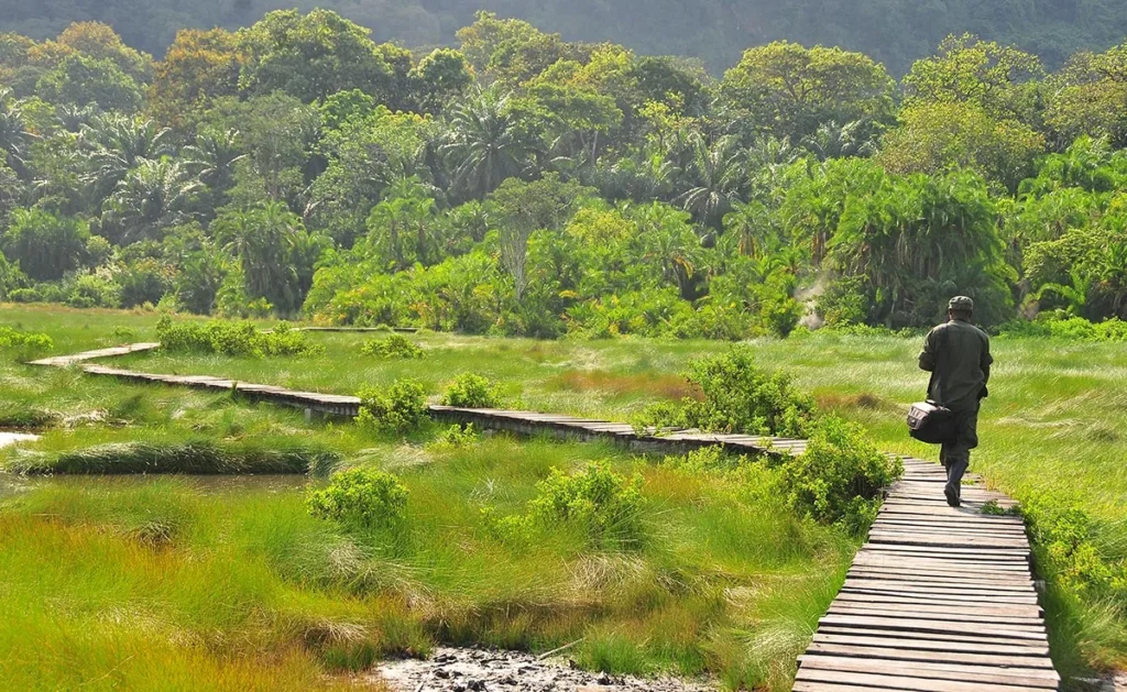 the Semuliki National Park experience delivers something truly unforgettable.