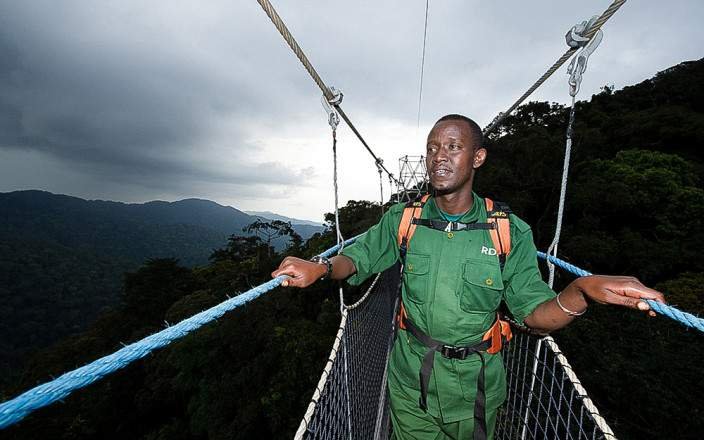 Nyungwe National Park Safari: Chimpanzee Trekking, Canopy Walk