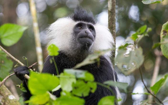 Best Times to Visit Rwanda