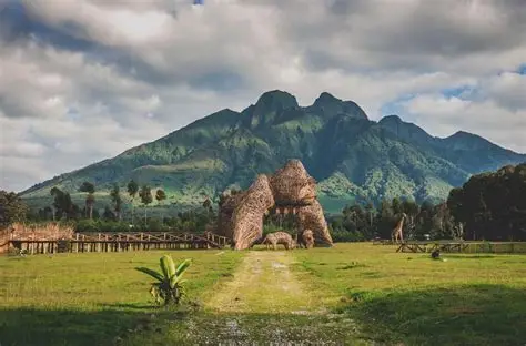 Why Gorilla Trekking is Unique
