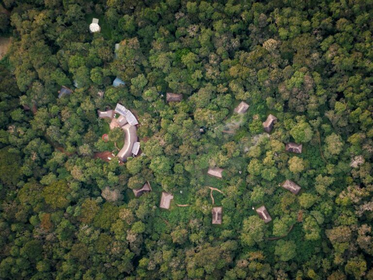best time to visit Kibale National Park
