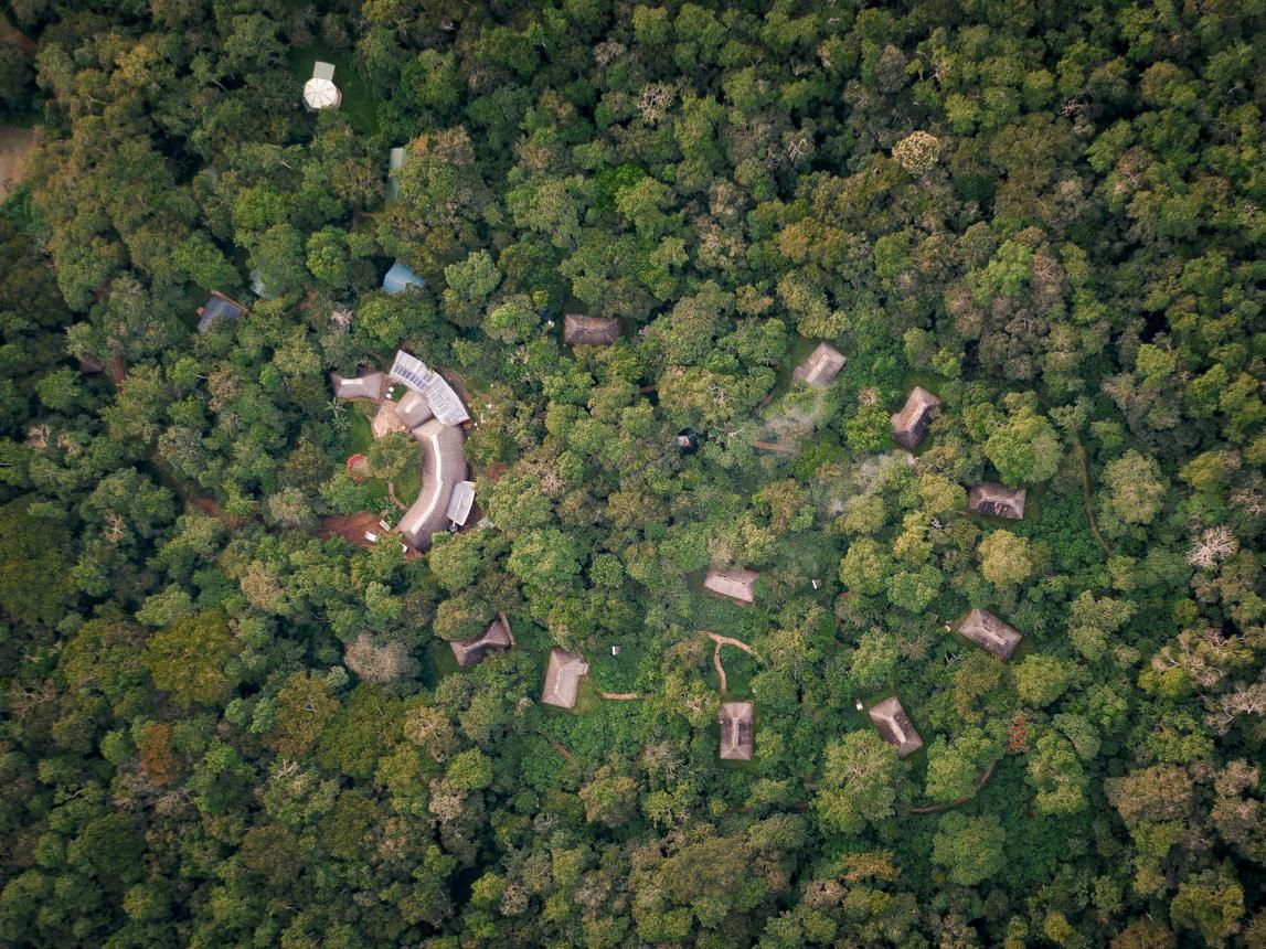 best time to visit Kibale National Park