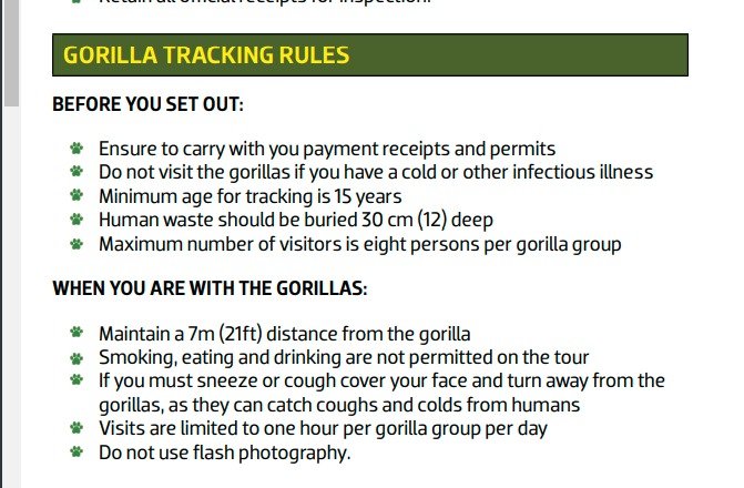 Gorilla trekking rules You should not forget. 