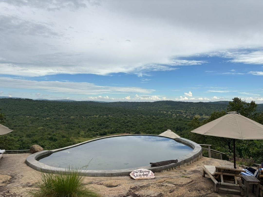 Discover unforgettable Uganda safaris with gorilla & chimp trekking, wildlife game drives, cultural tours, birding & adventure experiences.