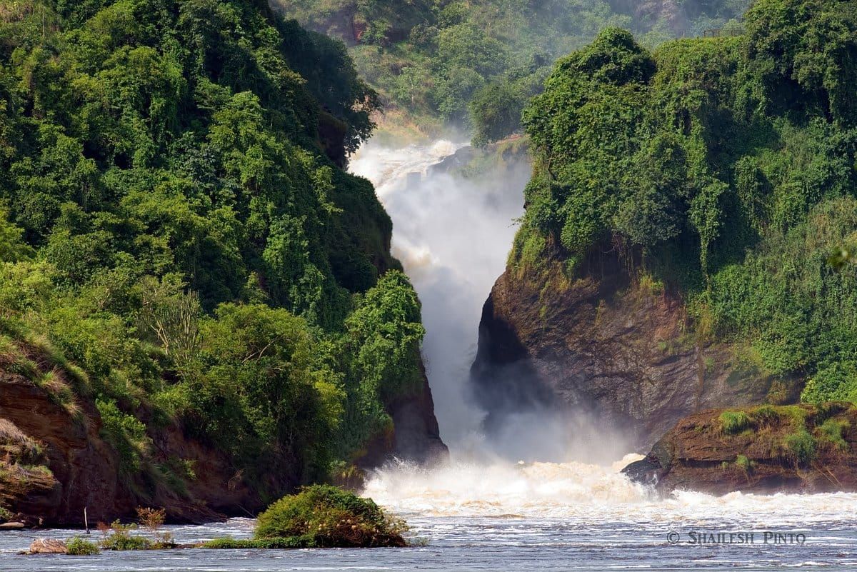 How Much Does It Cost to Go on a Wildlife Safari in Uganda?