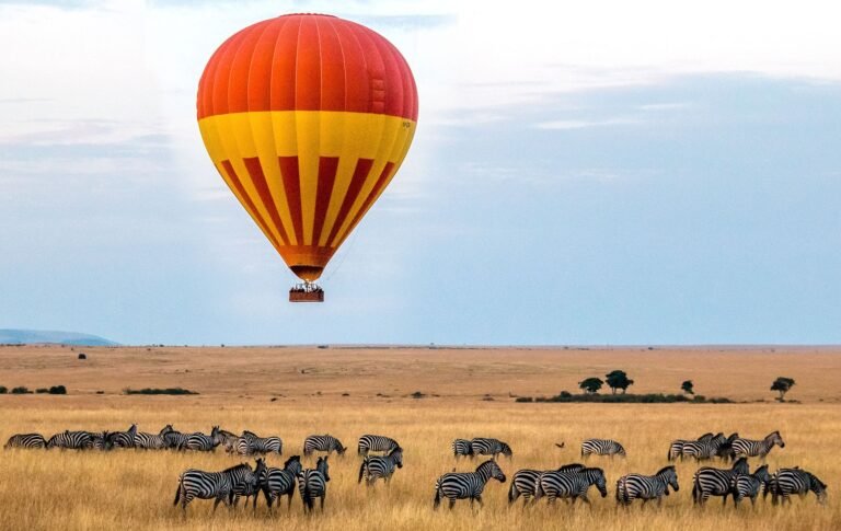 Maasai Mara National Reserve, Kenya
