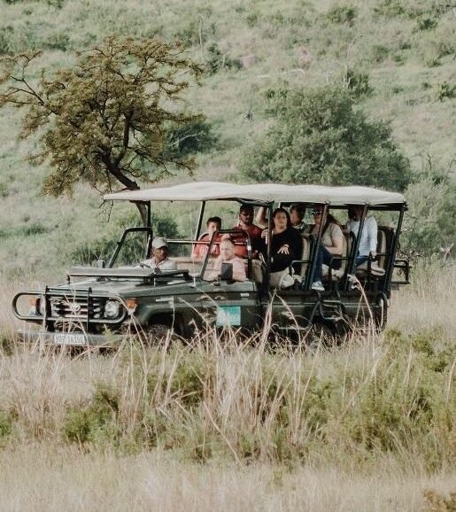 Visit Kenya for a safari and explore the Maasai Mara, Big Five wildlife, luxury lodges, the Great Migration, and unforgettable adventures.