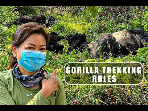 Gorilla trekking rules