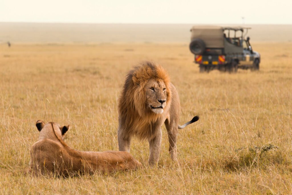 Kenya