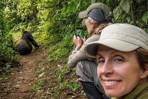 trekkers taking pictures of gorillas