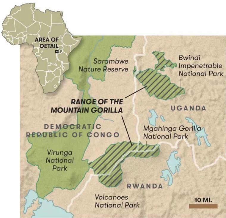 Map showing all Mountain gorilla trekking location